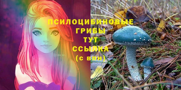 амф Аркадак