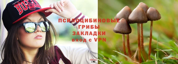 амф Аркадак