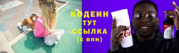 трава Арсеньев