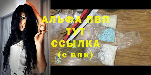 амф Аркадак