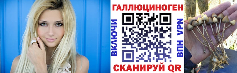 Псилоцибиновые грибы Magic Shrooms Нурлат