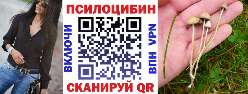 blacksprut ссылка  сколько стоит  Нурлат  Галлюциногенные грибы Psilocybine cubensis 