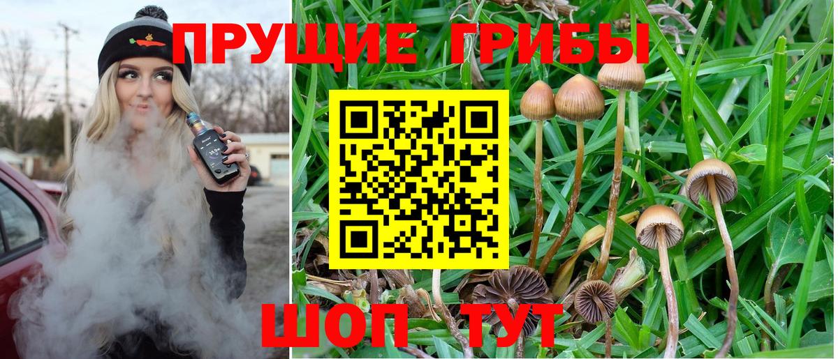 Нурлат  Псилоцибиновые грибы MAGIC MUSHROOMS  Вход с VPN 